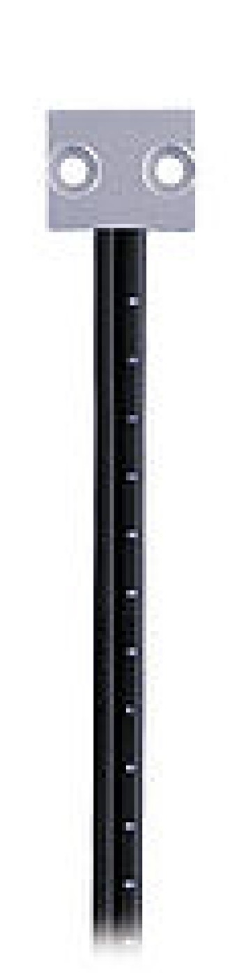 K19
